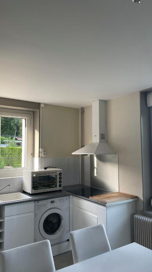 Appartement La Fourmi Verte Bruyeres Εξωτερικό φωτογραφία